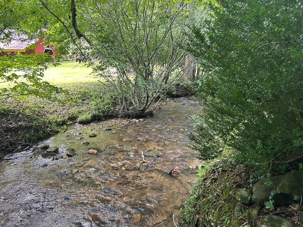 Lt 19 Bitter Creek Road, Blairsville GA 30512 - Photo