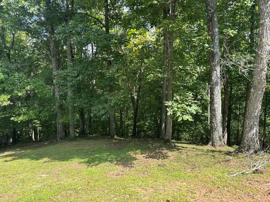 Lt 19 Bitter Creek Road, Blairsville GA 30512 - Primary photo