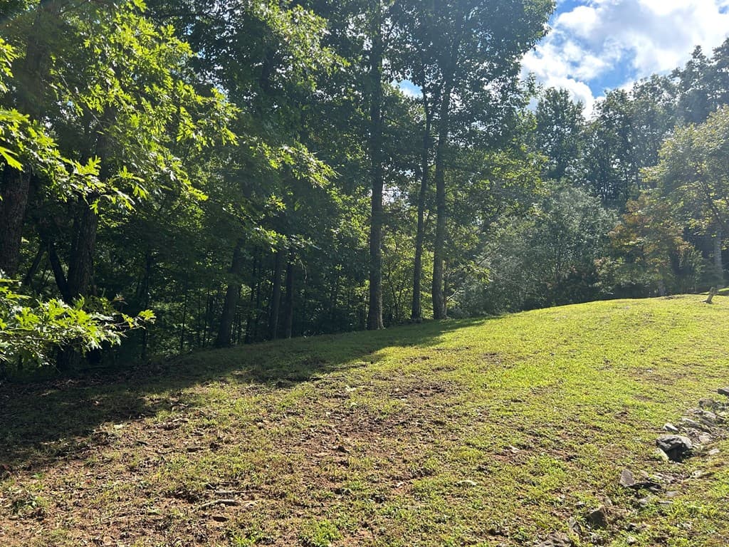 Lt 19 Bitter Creek Road, Blairsville GA 30512 - Photo