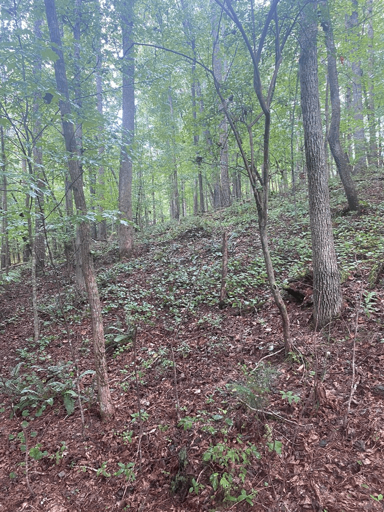 27 Mountain Creek Hollow Drive, Talking Rock GA 30175 - Photo