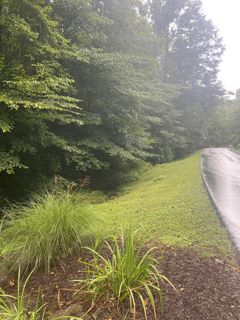 27 Mountain Creek Hollow Drive, Talking Rock GA 30175 - Photo