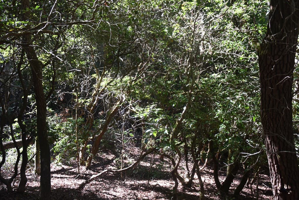 Lot 3 Riverbend Trail, Hayesville MD 20894 - Photo