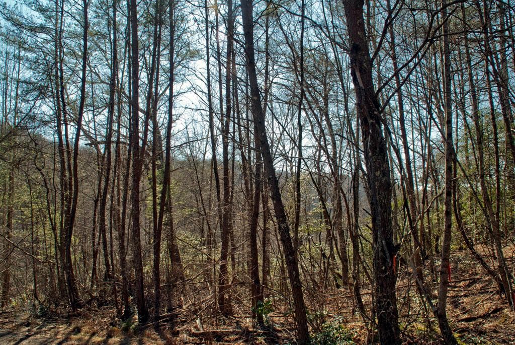 Lot 3 Riverbend Trail, Hayesville MD 20894 - Photo