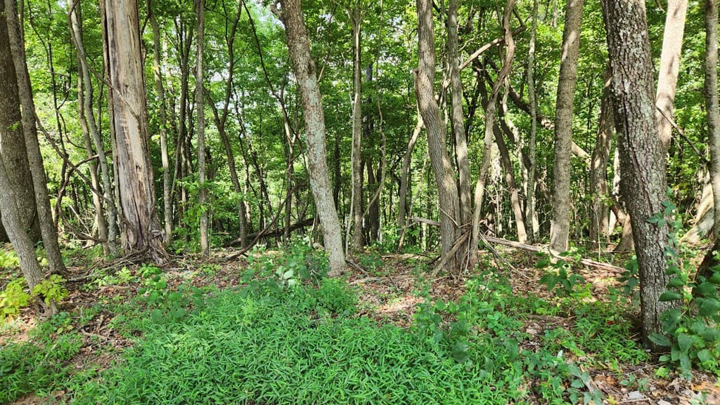 Lot 32 Calvender Road, Turtletown TN 37317 - Photo