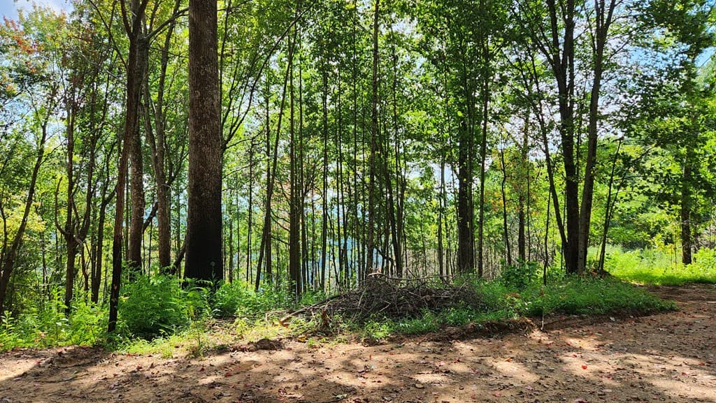 Lot 32 Calvender Road, Turtletown TN 37317 - Photo