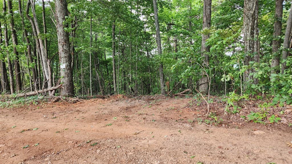 Lot 32 Calvender Road, Turtletown TN 37317 - Photo
