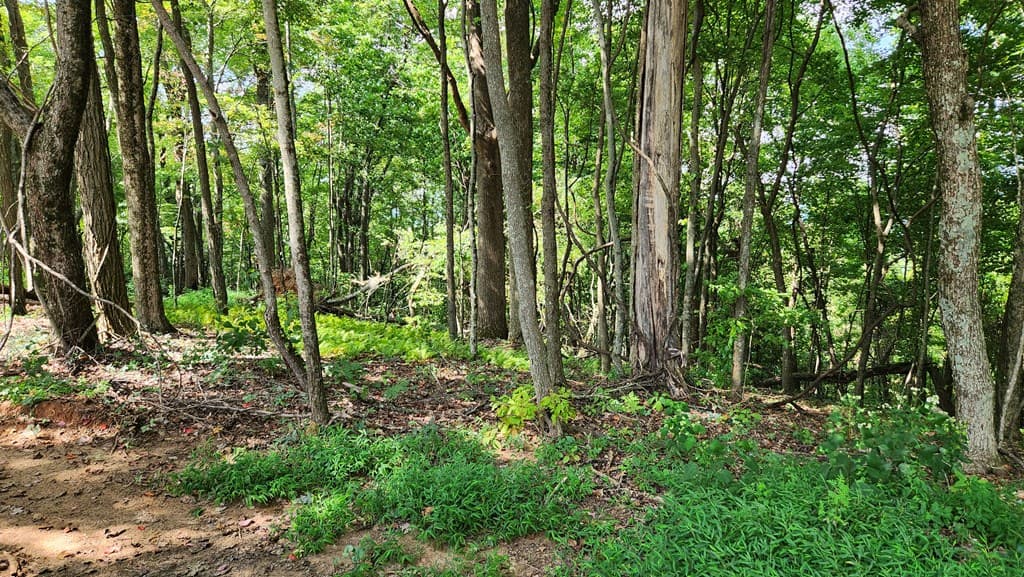 Lot 32 Calvender Road, Turtletown TN 37317 - Photo