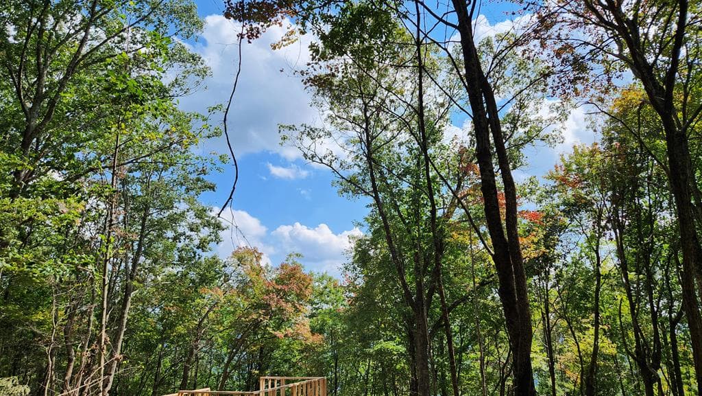 Lot 32 Calvender Road, Turtletown TN 37317 - Primary photo