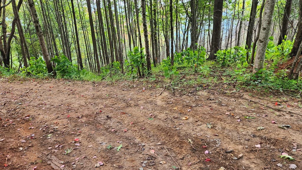 Lot 32 Calvender Road, Turtletown TN 37317 - Photo