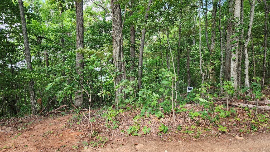 Lot 32 Calvender Road, Turtletown TN 37317 - Photo