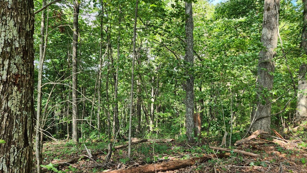 Lot 32 Calvender Road, Turtletown TN 37317 - Photo