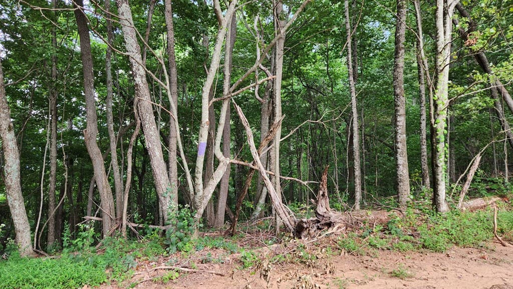 Lot 32 Calvender Road, Turtletown TN 37317 - Photo