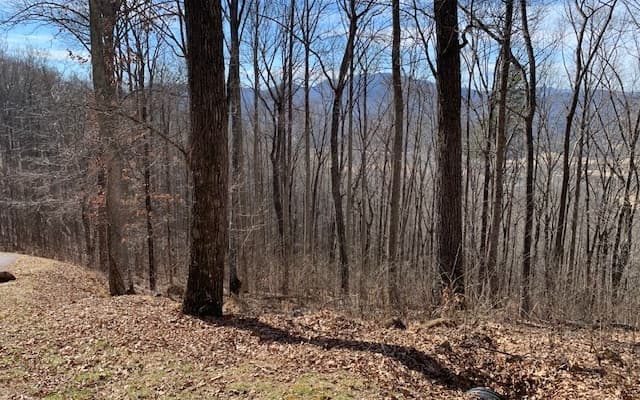Lot 2 Rocky Knob Estates, Young Harris GA 30582 - Photo
