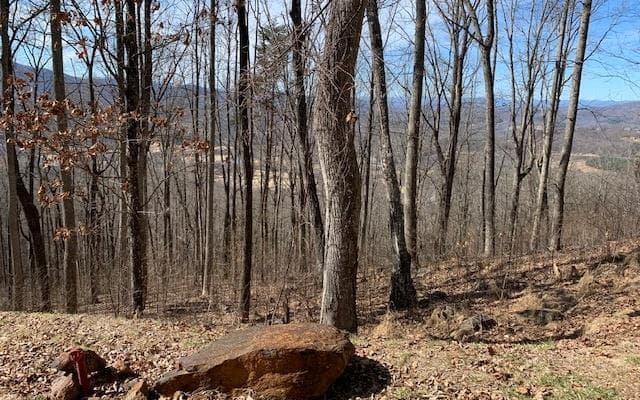 Lot 2 Rocky Knob Estates, Young Harris GA 30582 - Primary photo
