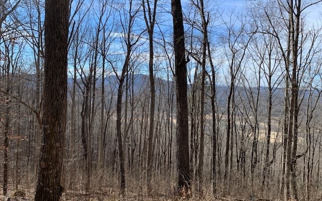 Lot 2 Rocky Knob Estates, Young Harris GA 30582 - Photo