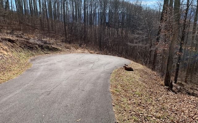 Lot 2 Rocky Knob Estates, Young Harris GA 30582 - Photo