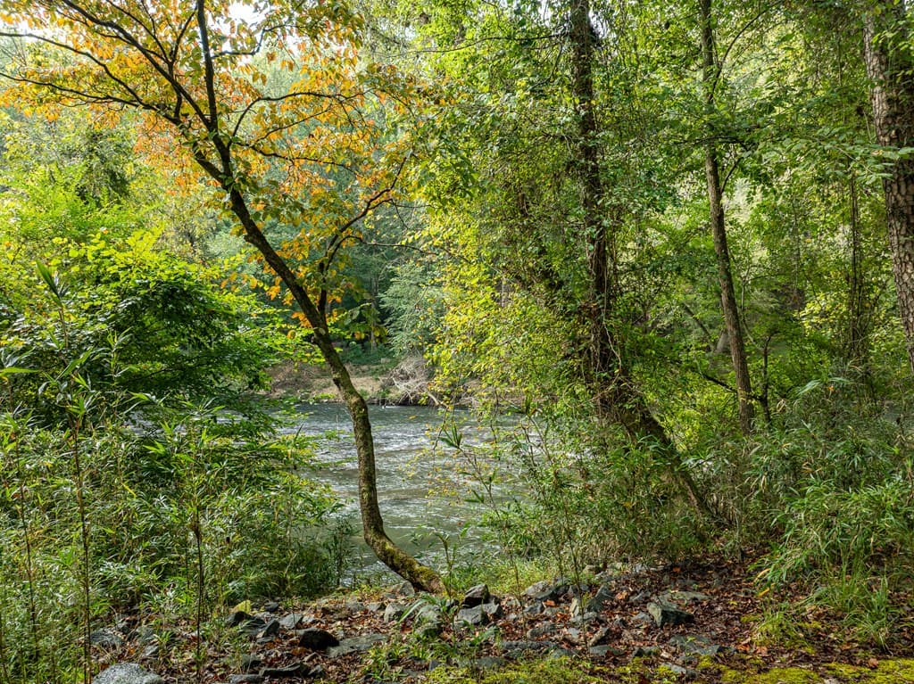 54 First Street, Ellijay GA 30540 - Photo