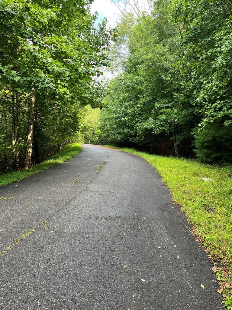 Lot 45AC Ash Branch Circle, Hayesville NC 28904 - Photo