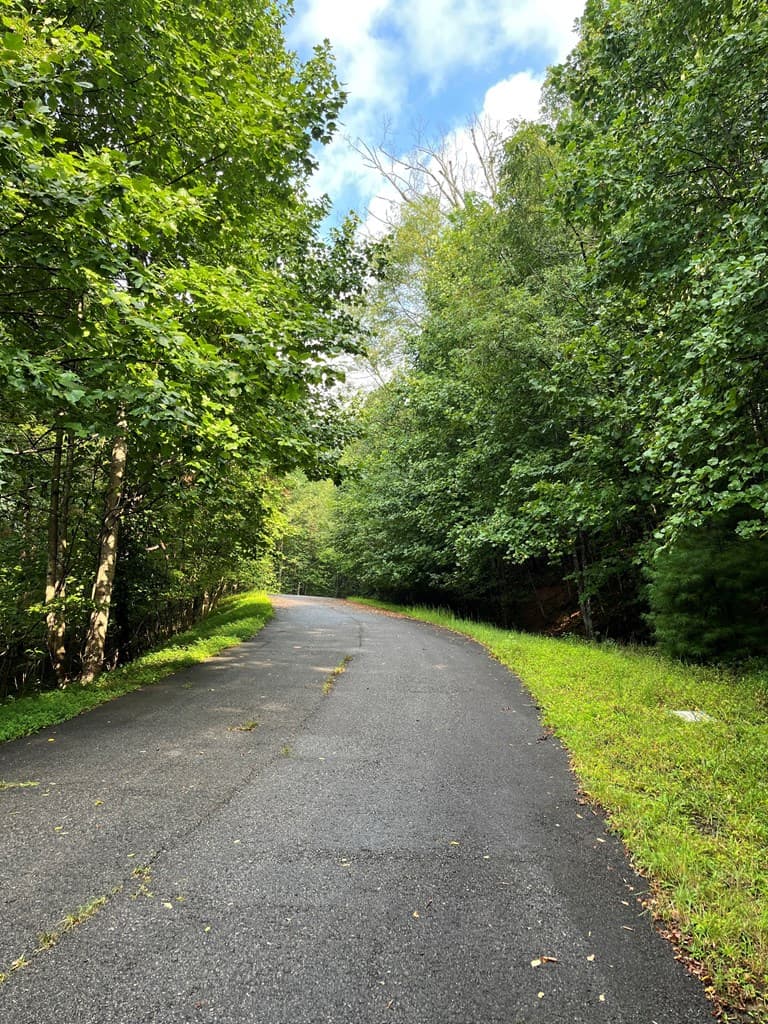 Lot 45AC Ash Branch Circle, Hayesville NC 28904 - Photo