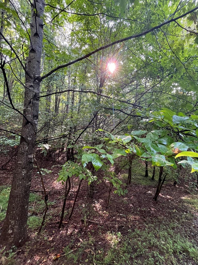 Lot 45AC Ash Branch Circle, Hayesville NC 28904 - Photo