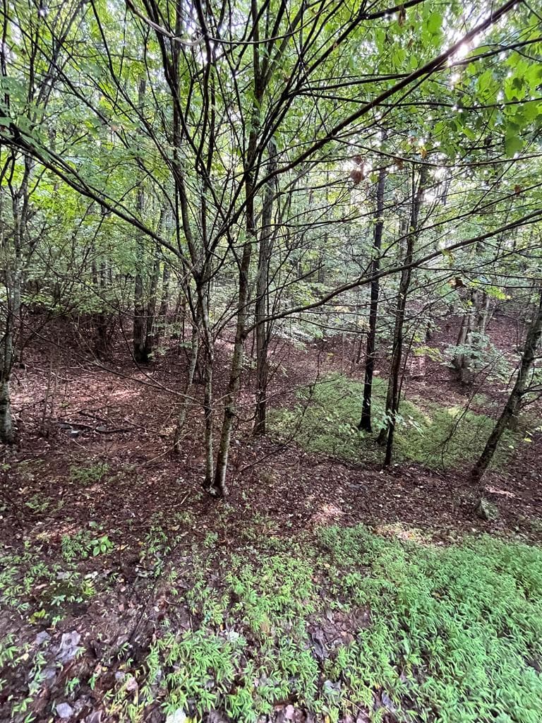 Lot 45AC Ash Branch Circle, Hayesville NC 28904 - Primary photo