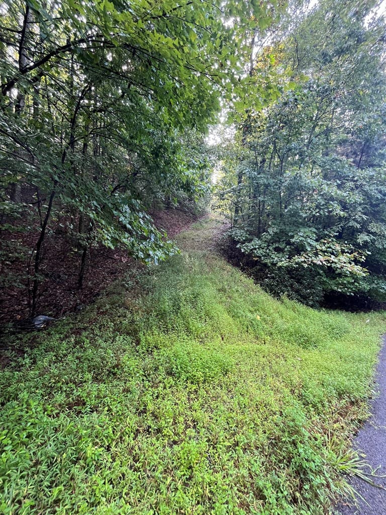 Lot 45AC Ash Branch Circle, Hayesville NC 28904 - Photo