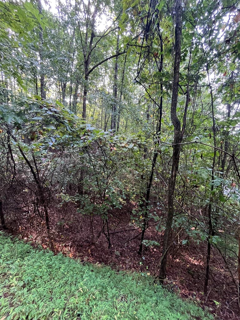 Lot 45AC Ash Branch Circle, Hayesville NC 28904 - Photo