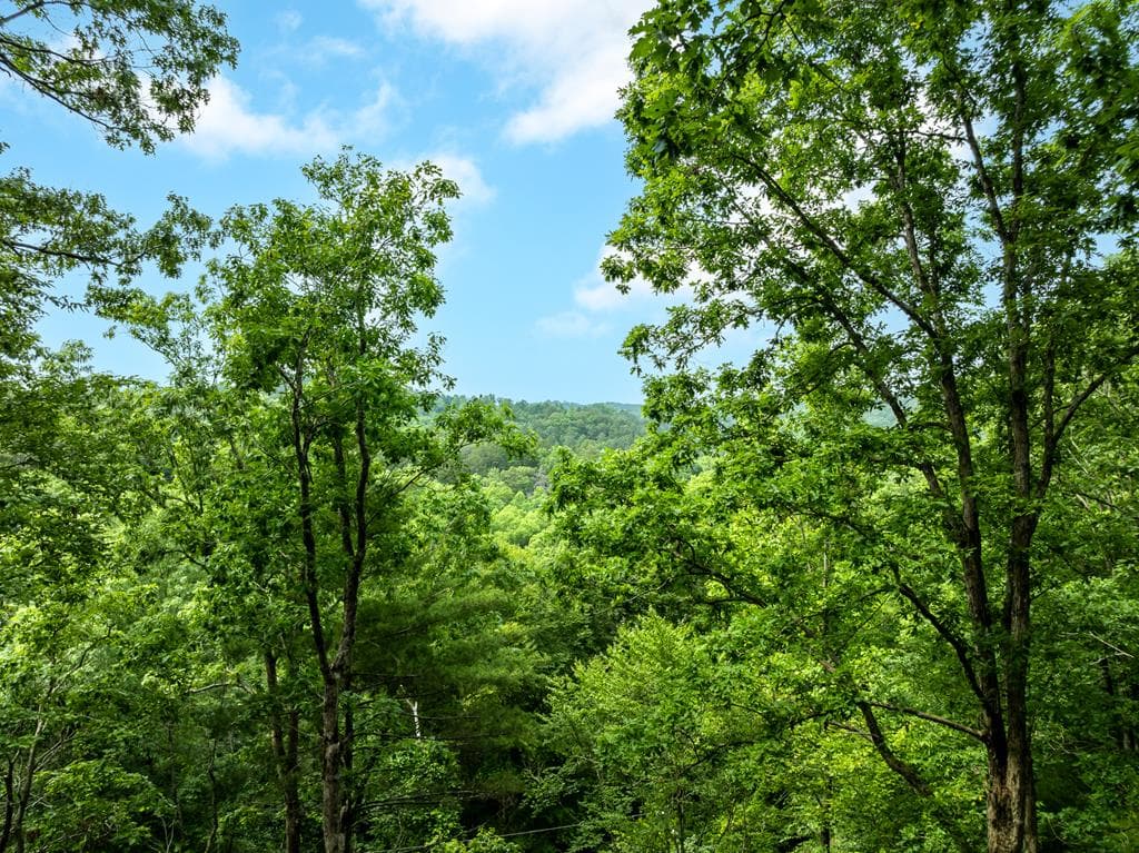 193 Alm Lane, Ellijay GA 30540 - Photo