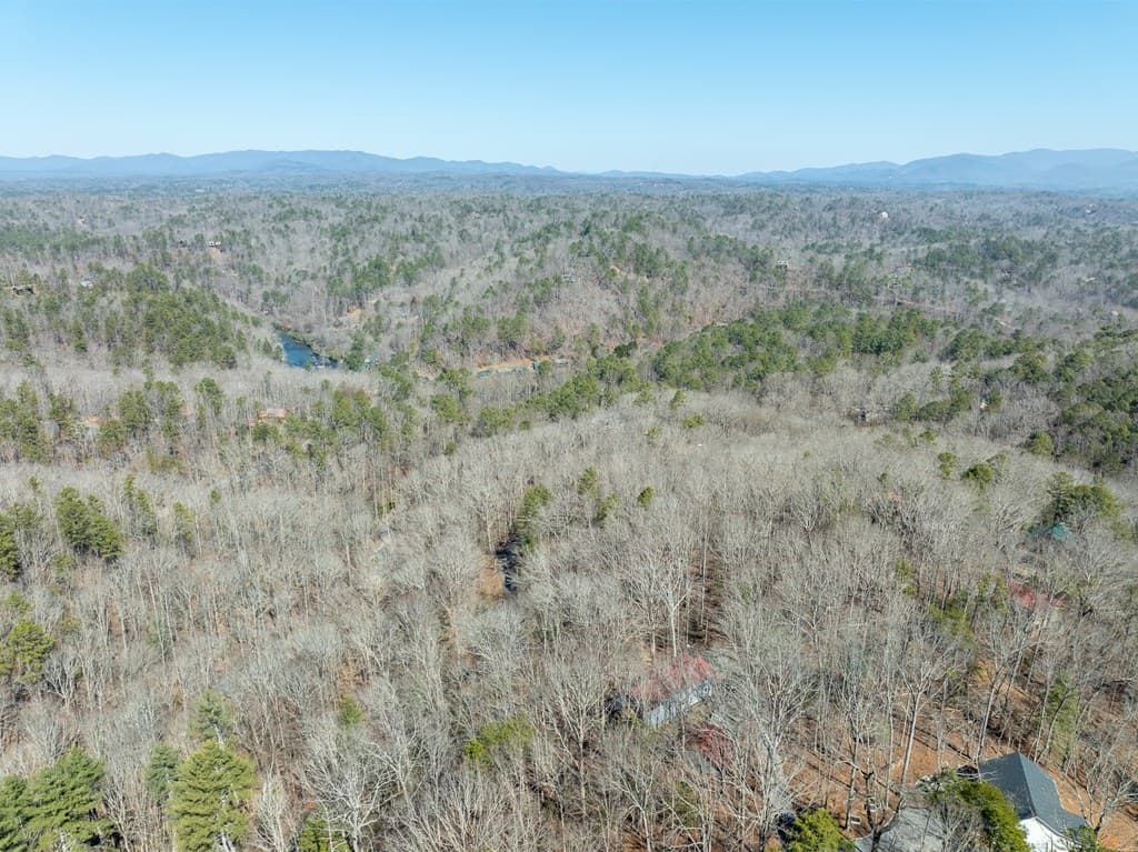 193 Alm Lane, Ellijay GA 30540 - Photo