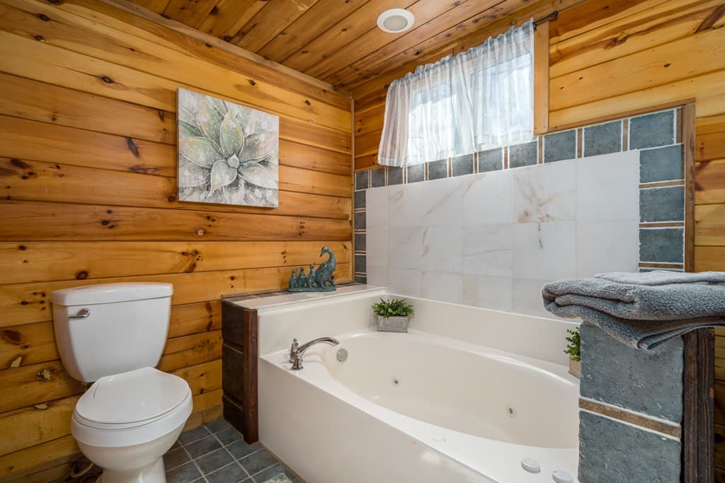 193 Alm Lane, Ellijay GA 30540 - Photo