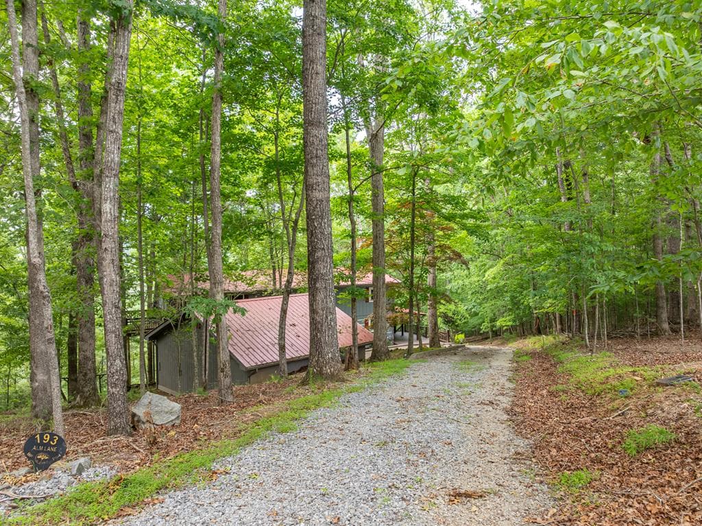 193 Alm Lane, Ellijay GA 30540 - Photo