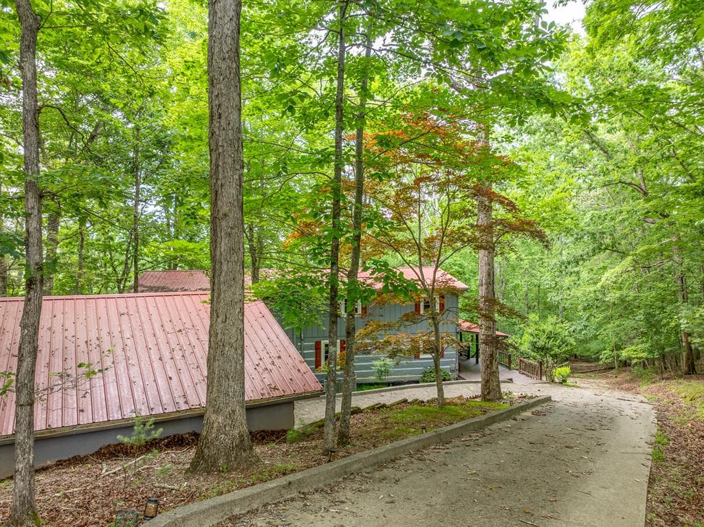 193 Alm Lane, Ellijay GA 30540 - Photo