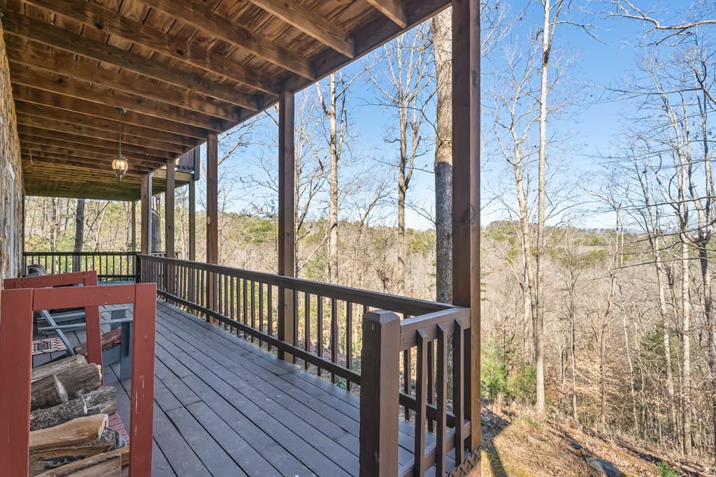 193 Alm Lane, Ellijay GA 30540 - Photo