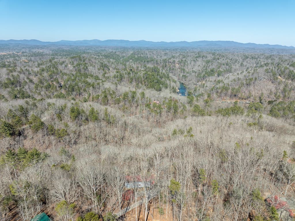 193 Alm Lane, Ellijay GA 30540 - Photo