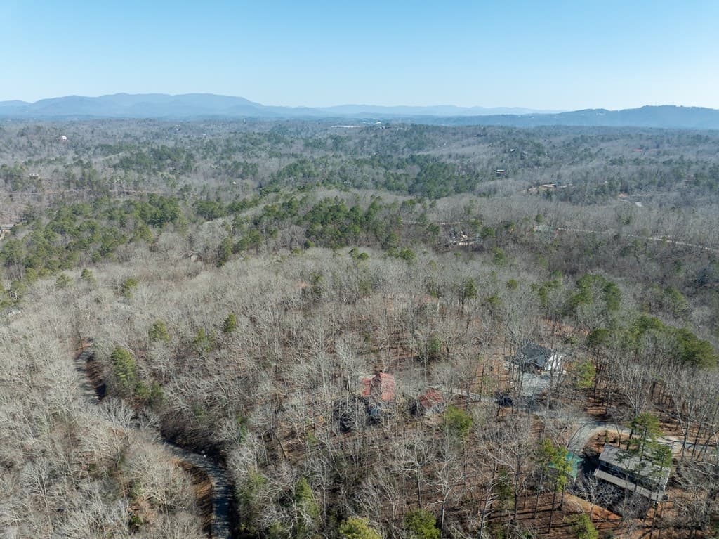 193 Alm Lane, Ellijay GA 30540 - Photo