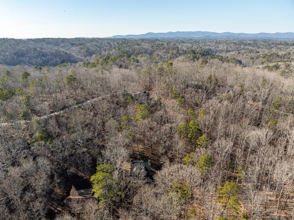 160 Primrose Court, Ellijay GA 30540 - Photo