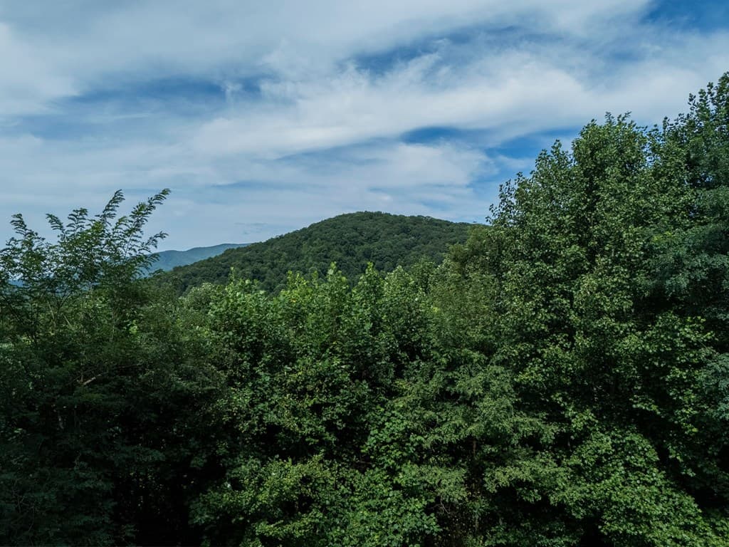 71 S Hidden Valley Drive, Ellijay GA 30536 - Photo