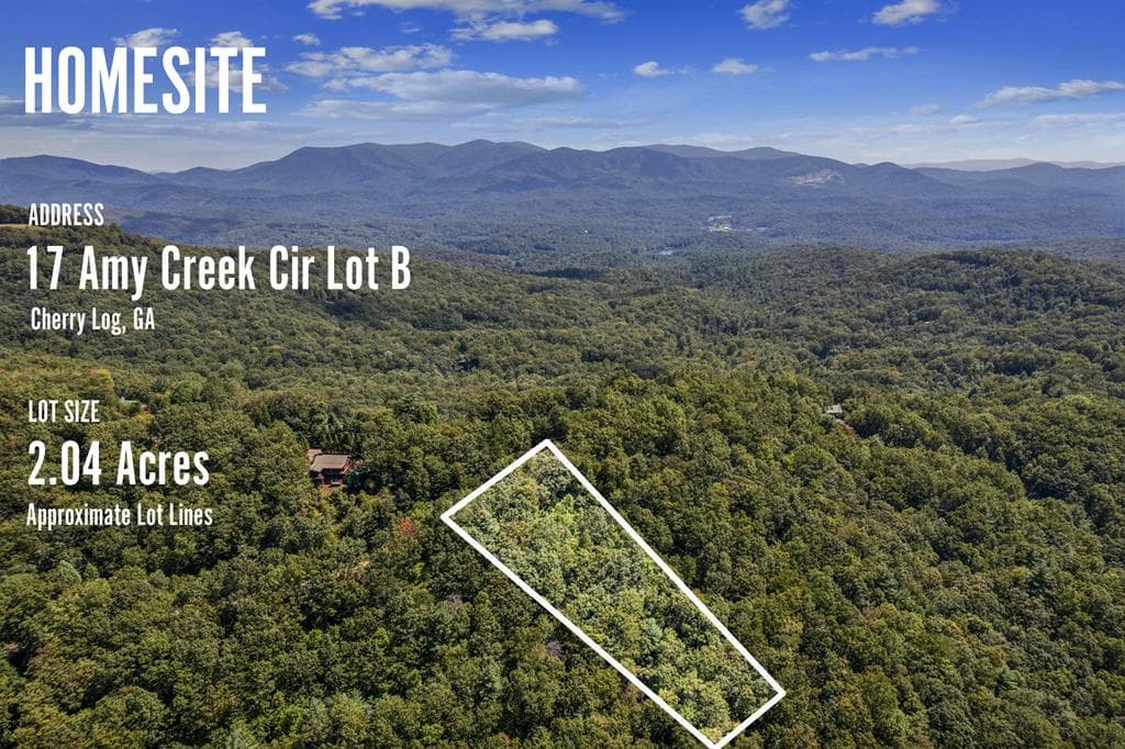 17B Amy Creek Circle, Ellijay GA 30540 - Photo