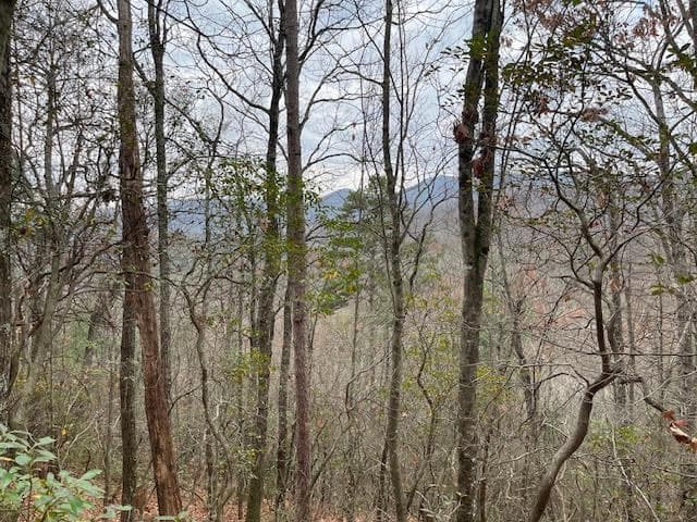 17B Amy Creek Circle, Ellijay GA 30540 - Photo