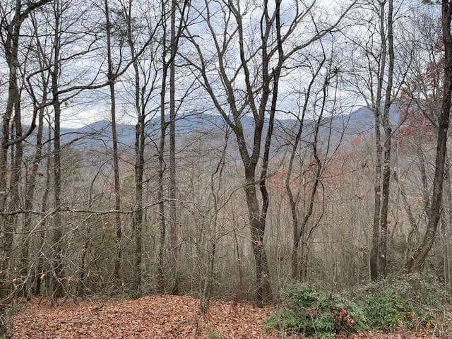 17B Amy Creek Circle, Ellijay GA 30540 - Photo