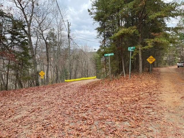 17B Amy Creek Circle, Ellijay GA 30540 - Photo