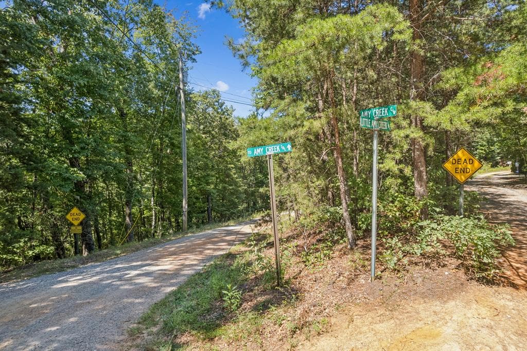 17B Amy Creek Circle, Ellijay GA 30540 - Photo
