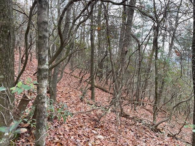 17B Amy Creek Circle, Ellijay GA 30540 - Photo