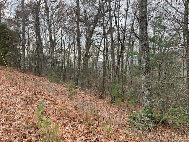 17B Amy Creek Circle, Ellijay GA 30540 - Photo