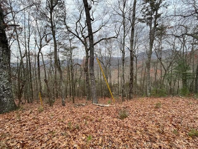 17B Amy Creek Circle, Ellijay GA 30540 - Photo