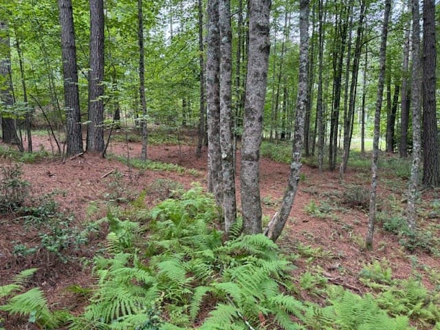 000 Deyton Drive, Blairsville GA 30512 - Photo