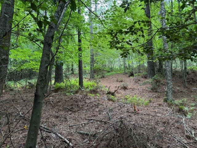 000 Deyton Drive, Blairsville GA 30512 - Photo