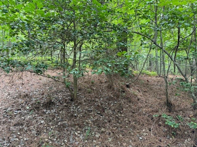 000 Deyton Drive, Blairsville GA 30512 - Photo