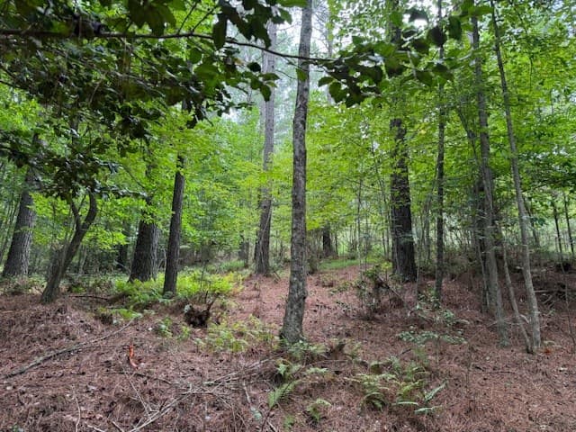 000 Deyton Drive, Blairsville GA 30512 - Photo