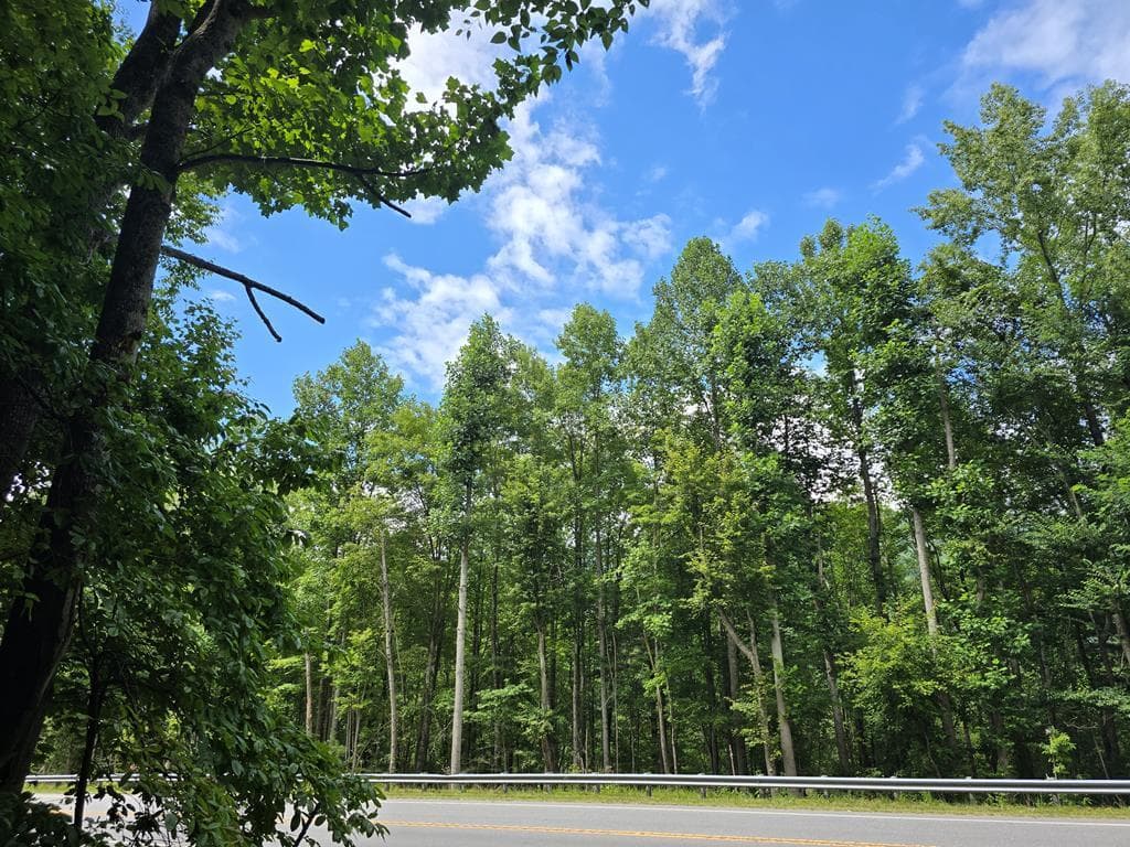 5.054 ac E Hwy 64, Hayesville NC 28904 - Photo